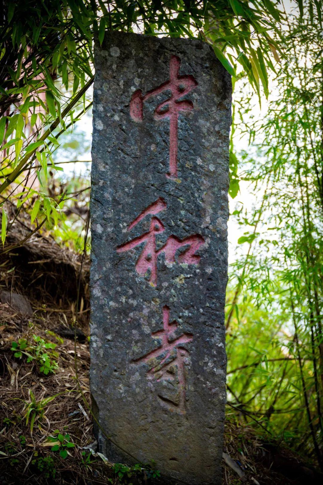 苍山攻略最新指南，探索苍山的必备攻略