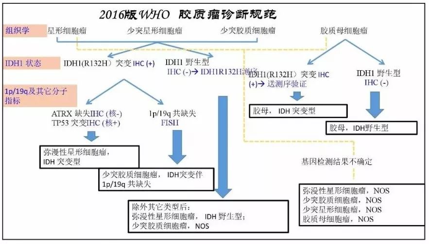 北京最新病理研究与应用进展概览