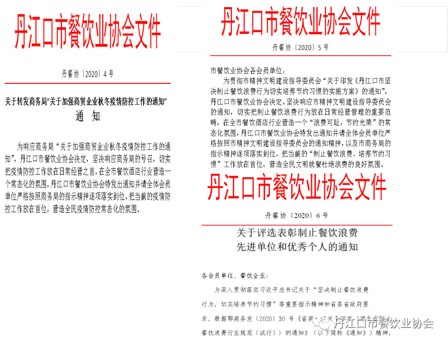 全球抗击疫情新篇章，最新防疫名词解析与探讨